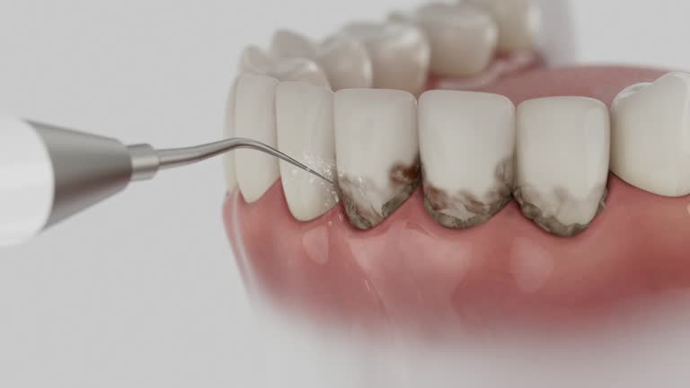 Reliable Dental contractor in Wekiwa Springs, FL by Dentist Open Now